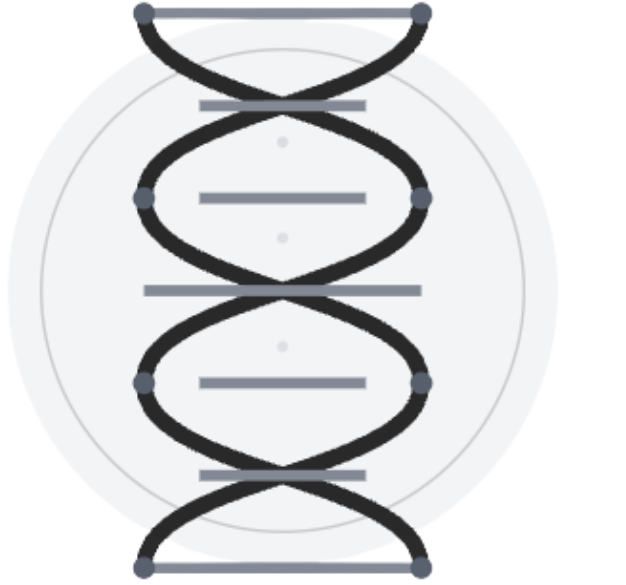 THE SOLUTION protagonist skincare men